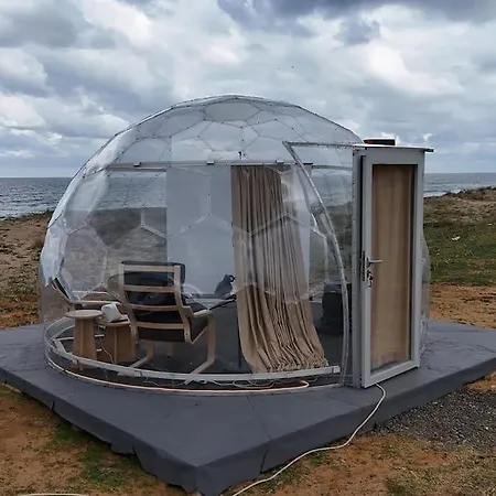 Caravan Serenity - Huzurlu Bir Karavan Tatili Ve Sobali Kis Bahcemiz Апартаменты Шиле